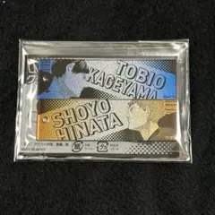 ハイキュー グラデーションアクリルキーホルダー アクキー 影山飛雄 日向翔陽