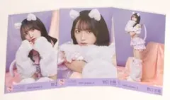 LOVE イコラブ 猫衣装生写真5枚セット 野口衣織 - メルカリ