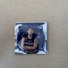 シーホース三河　元澤誠