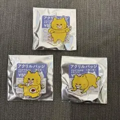 ノラネコぐんだん コラボカフェ限定 アクリルバッジ 3個セット