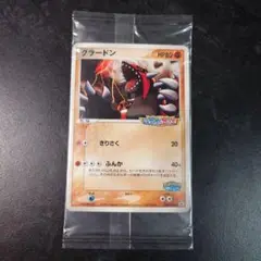 未開封❗️ポケモンカード ポケパーク グラードン グラードン(未開封)【P】{042/PCG-P}