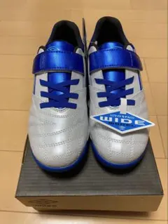 【新品】トレーニングシューズ　アンブロ　22cm