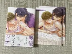 俺のオモチャは親友につながっている3 佳門サエコ　アニメイト小冊子　リーフレット