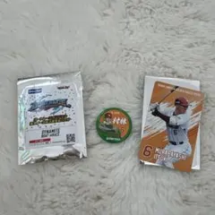 楽天イーグルス　村林　缶バッジ