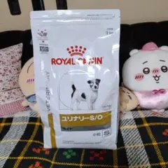 Item thumbnail for item 25944cc2-7a1f-45a2-9310-d717d8fa04b1