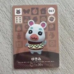 【匿名配送】amiiboカード　ゆきみ　あつまれどうぶつの森
