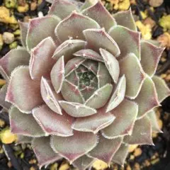 中嶋桂子様 リクエスト 6点 まとめ商品