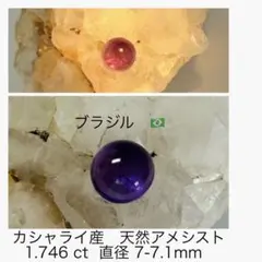 2026年最新】カシャライ産の人気アイテム - メルカリ