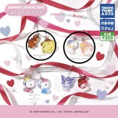 即購入⭕️サンリオキャラクターズ なかよしドロップチャーム　2個セット
