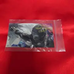 Mr.Children　missyou　特典ステッカー