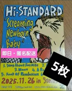 即日発送　Hi-STANDARD　フライヤー　5枚　ハイスタ　ハイスタンダード