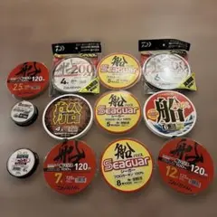Seaguar 釣り糸 120m 200m 号数多様のサムネイル