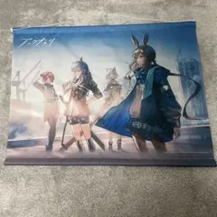 アークナイツ B2タペストリー - メルカリ