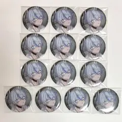 2025Throne Edition】白雪レイド 缶バッジ×13個 - メルカリ