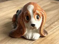 バセットハウンド