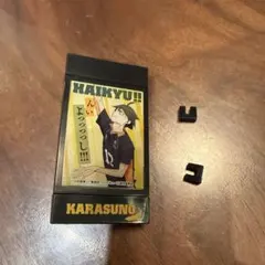 山口　ハイキュー!! 烏野高校