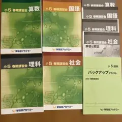 ぴ*ん様 【早稲田アカデミー】 小5 夏期講習 早稲アカ上位校5年生