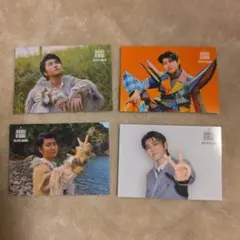 Mrs. GREEN APPLE　フォトカ