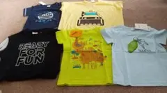 Item thumbnail for item 255d6cea-3688-4302-9fbf-e1d96eeb5161