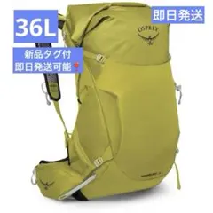 入手困難 新品 ダウンバースト 26L デイサック オスプレイ osprey 