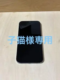 【子猫様専用】iPhone12proMAX 256GB