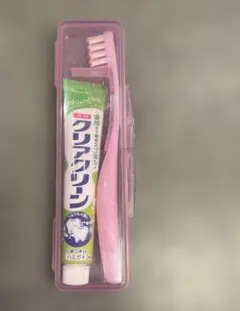 旅行用歯みがきセット ピンク ケース付き