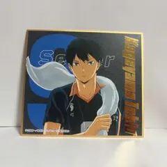 ハイキュー ♡ 影山飛雄 色紙