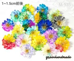 八重コデマリ ミックスカラー ドライフラワー H-642 - メルカリ