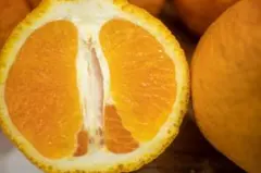 デコみかん（不知火）不揃い10Ｋｇ【訳あり】