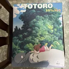 Item thumbnail for item 2e3f26fb-e3bd-4101-bee5-4ffd6f07dcd3