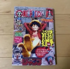 新品未開封 ワンピースマガジン第20号 ルフィプロモ付 1冊