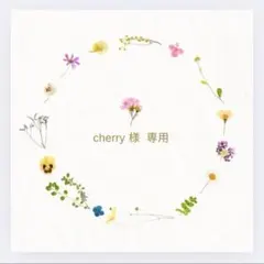 Cherry様専用 情景レジン　キーホルダー　ネックレス