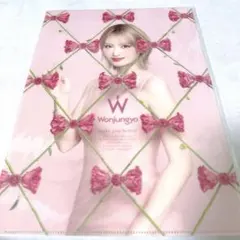 Wonjungyo クリアファイル TWICEモモ