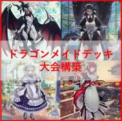天盃龍 ドラゴンメイド デッキ 遊戯王 本格構築 チェイム ハスキー