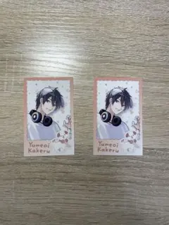 【夢追翔】わんにゃんDays チェキ