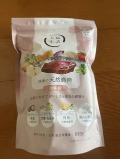 犬猫生活 犬用品