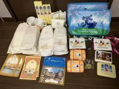 東京ディズニーリゾート バケーションパッケージ グッズセット