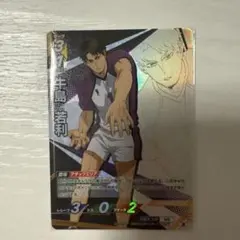 ハイキュー!! バボカ!! 頂 牛島若利