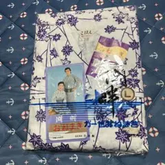 Item thumbnail for item 81f1a7b0-8627-45e5-ab4c-1bf4e62e3d21