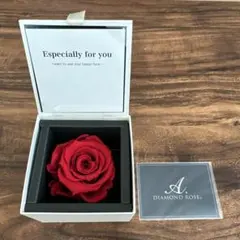 DIAMOND ROSE 赤いプリザーブドローズ