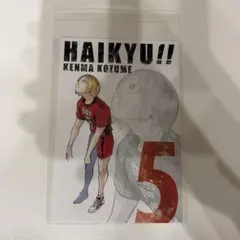 ハイキュー ゲンガ×タイカン 特典ポストカード ハイキュー展 孤爪研磨