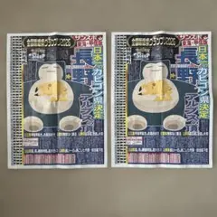サンスポ 特別号外 Pokémon Sleep 東海・甲信版 ポケモン