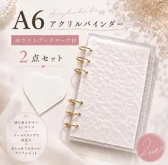 A6 アクリルバインダー 単品 バインダー貯金 家計管理 saving ホワイト