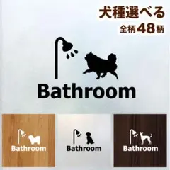 Item thumbnail for item cf527891-d66a-4904-8a18-99f8ce5f8b56