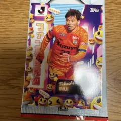 Takashi INUI 清水エスパルス トレカ