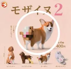 モザイヌ2 コーギー