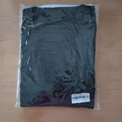 Item thumbnail for item 657fd711-33b0-42de-a711-7fa9fb6a7b34