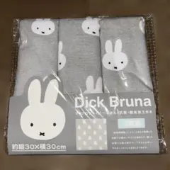 Item thumbnail for item 8f74bd22-2281-477c-be77-24a11137ae2d