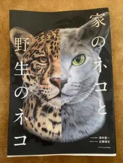 Item thumbnail for item 2fd7a7b8-1dd1-4643-bd1c-2fe9199872ed