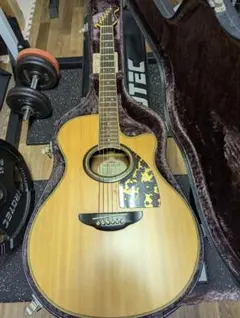 2026年最新】yamaha apx 5の人気アイテム - メルカリ